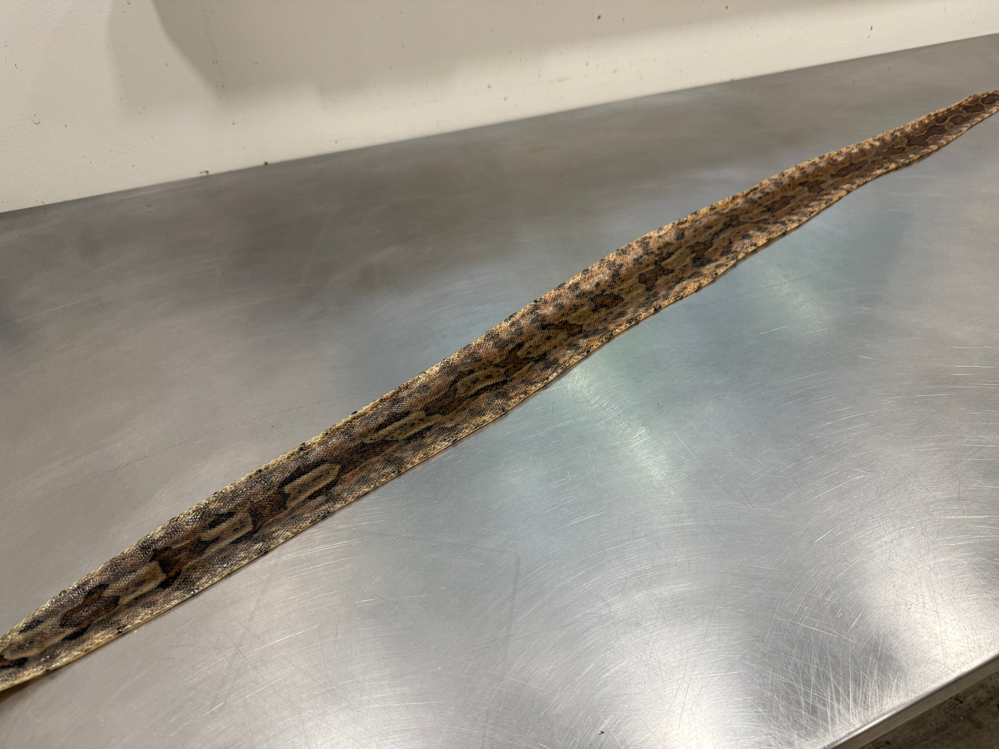 Snake Skin Boa Constrictor