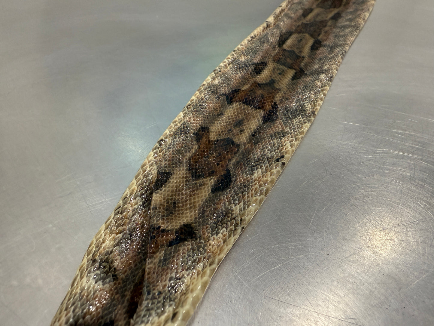 Snake Skin Boa Constrictor