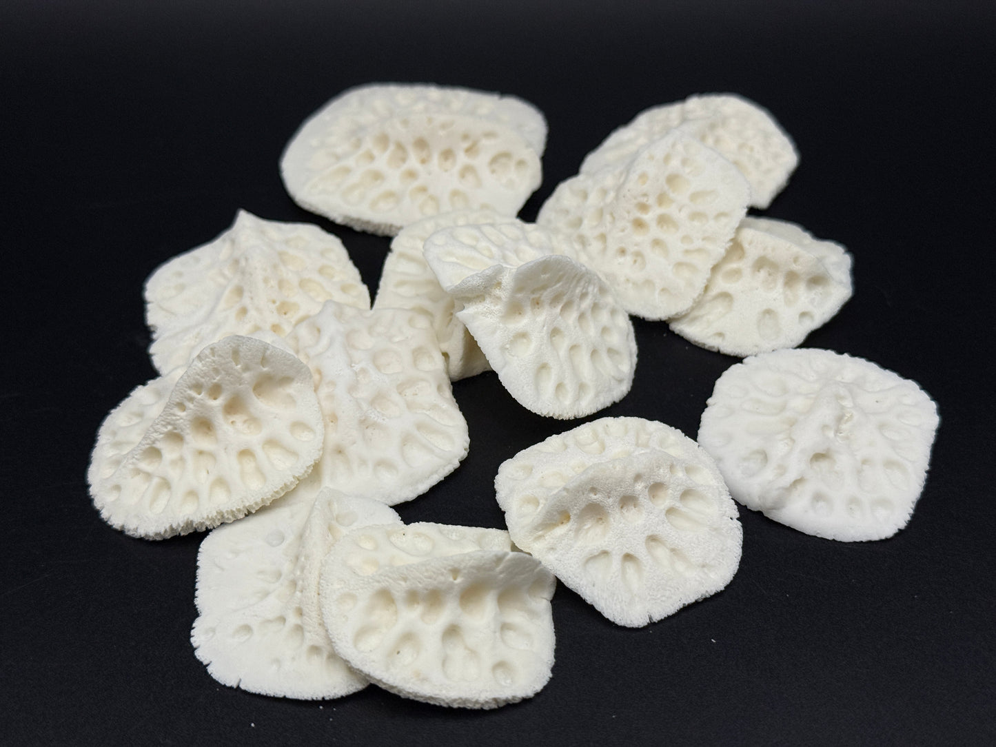 12 Medium Alligator Scutes