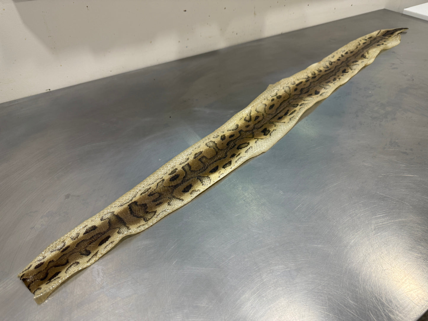 Snake Skin Ball Python