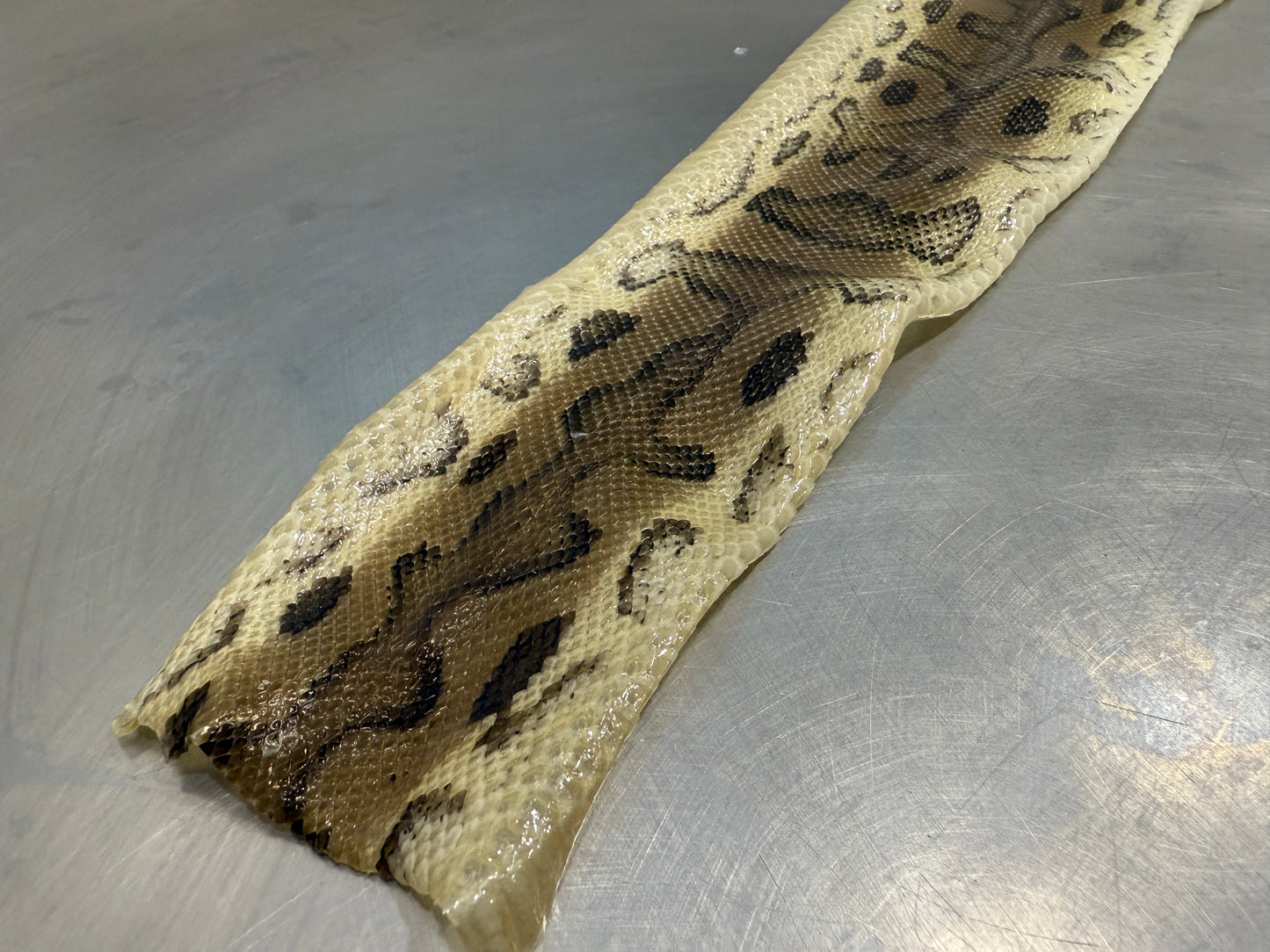 Snake Skin Ball Python