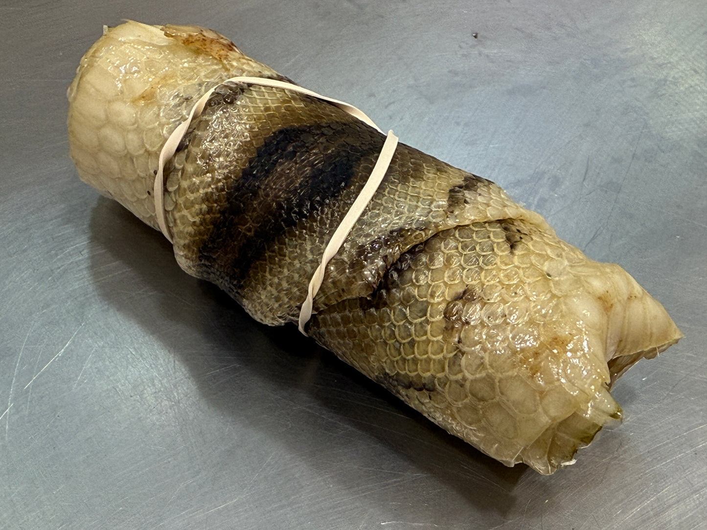 Snake Skin Ball Python