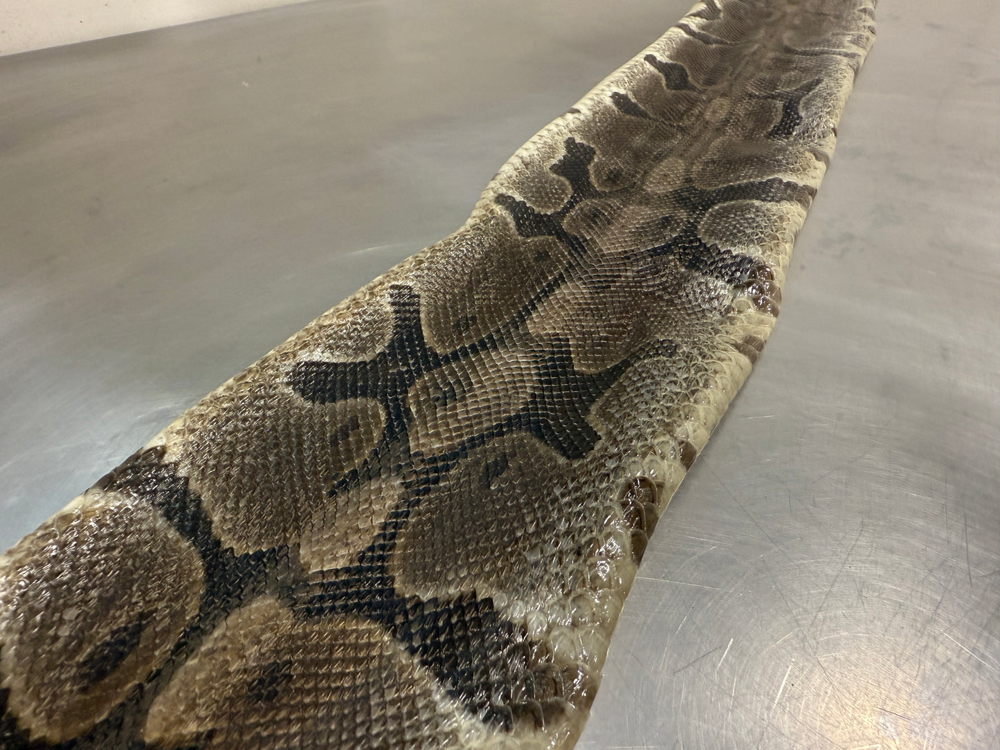 Snake Skin Ball Python