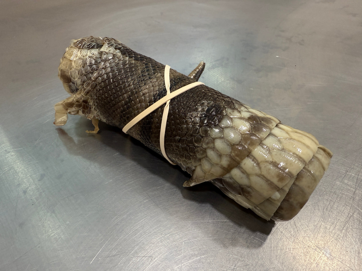 Snake Skin Ball Python