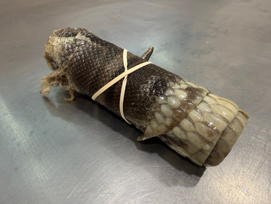 Snake Skin Ball Python